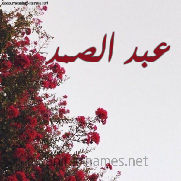 شكل 18 صوره الورد الأحمر للإسم بخط رقعة صورة اسم عبد الصمد Abdul-Samad